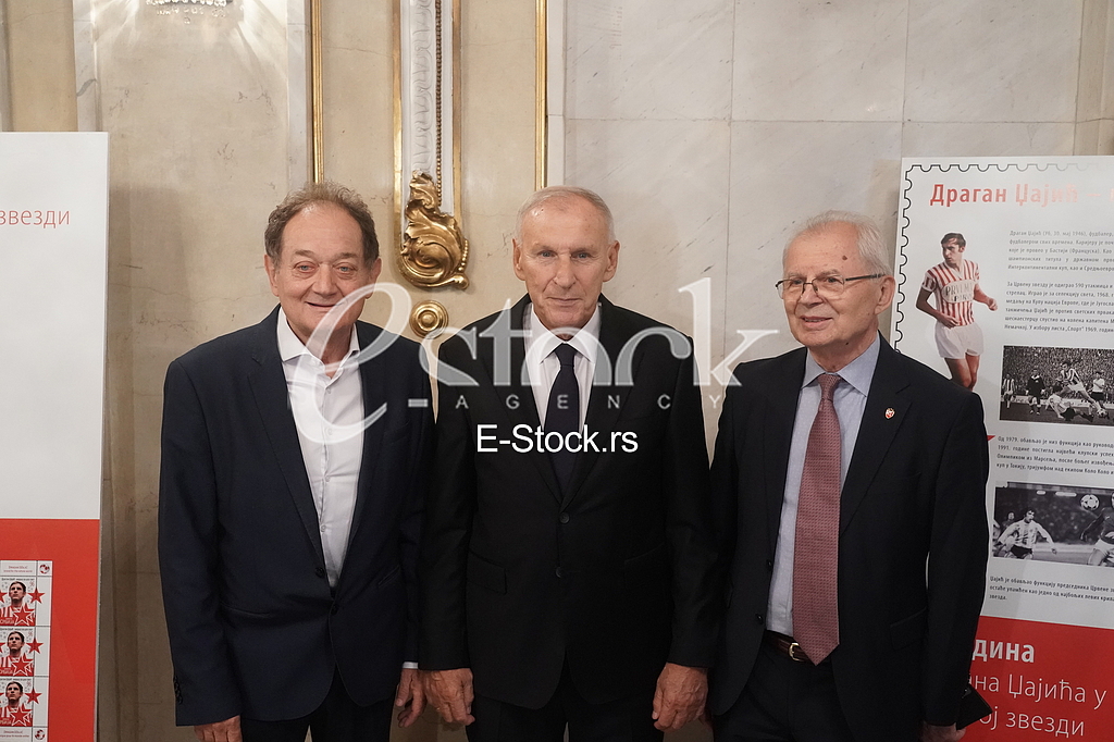 Miljko Ristic, Dragan Dzajic, Svetozar Mijailovic