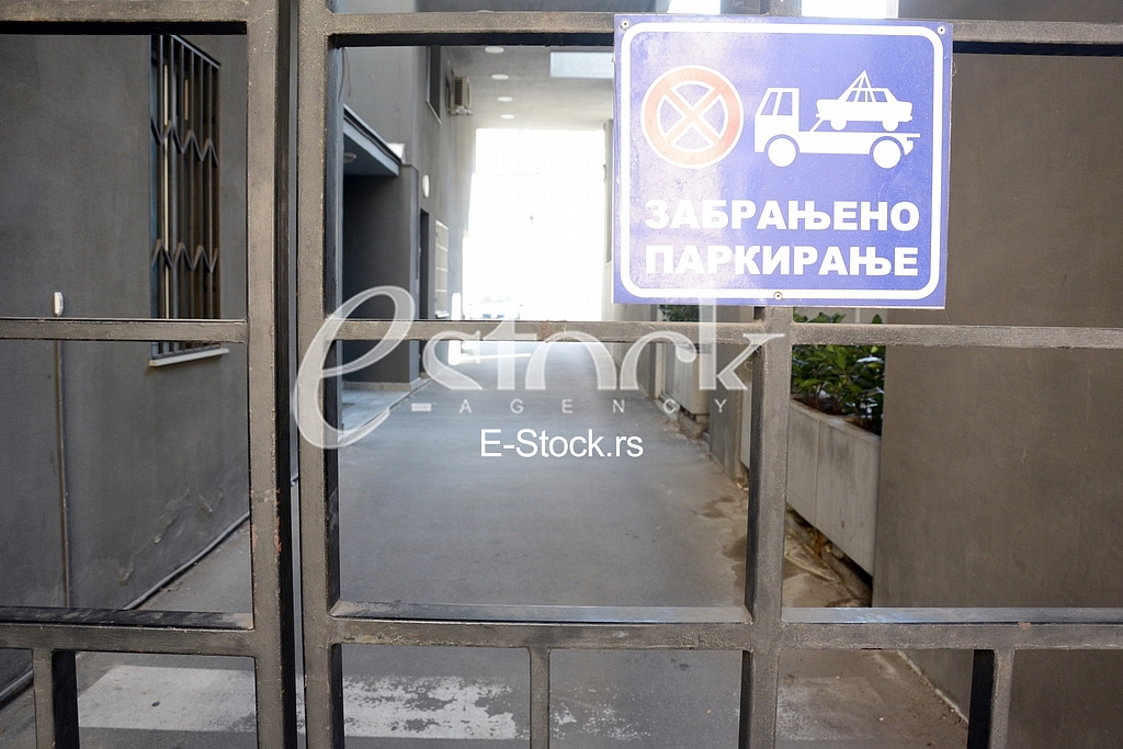Kneginje Zorke, 60