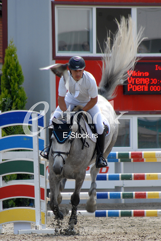 Equestrian Sport