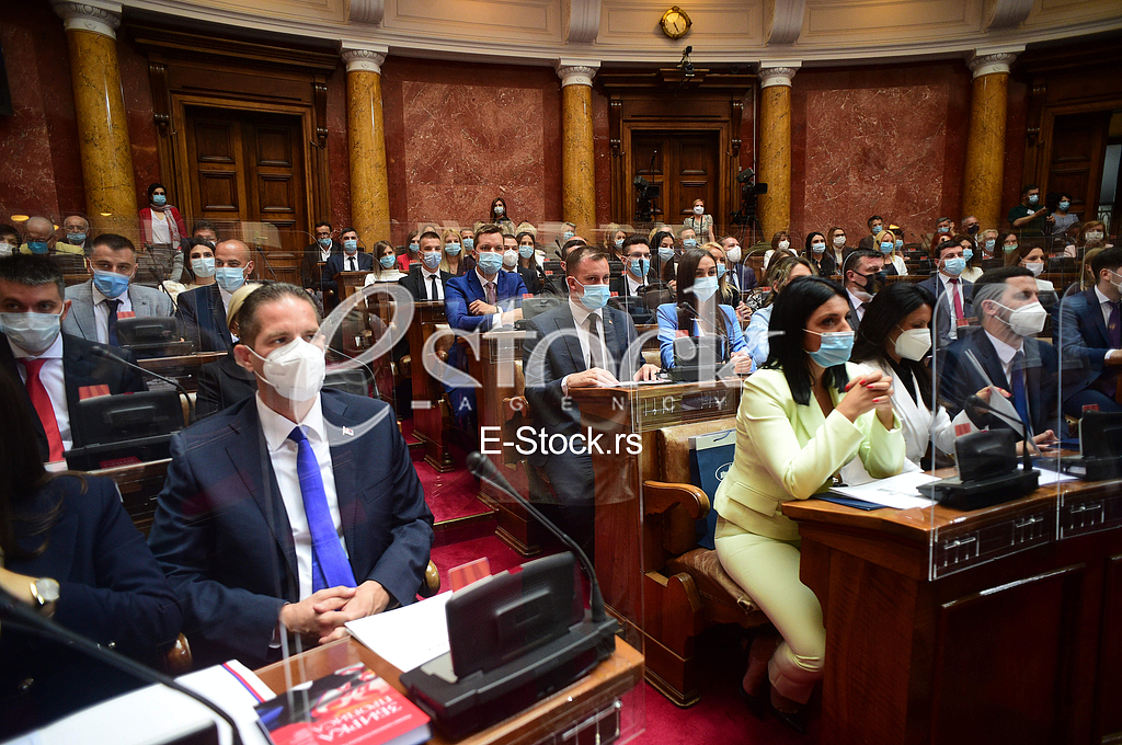 Milena Ivanovic Skupstina Srbije