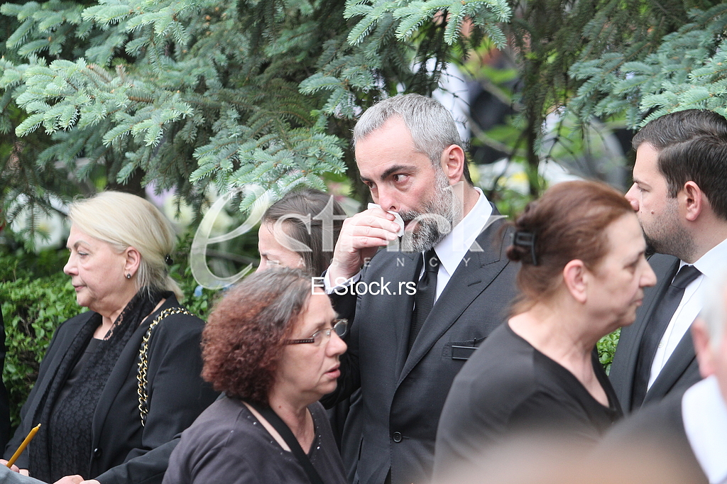 Goran Karic Gordana Karic Slavica Karic