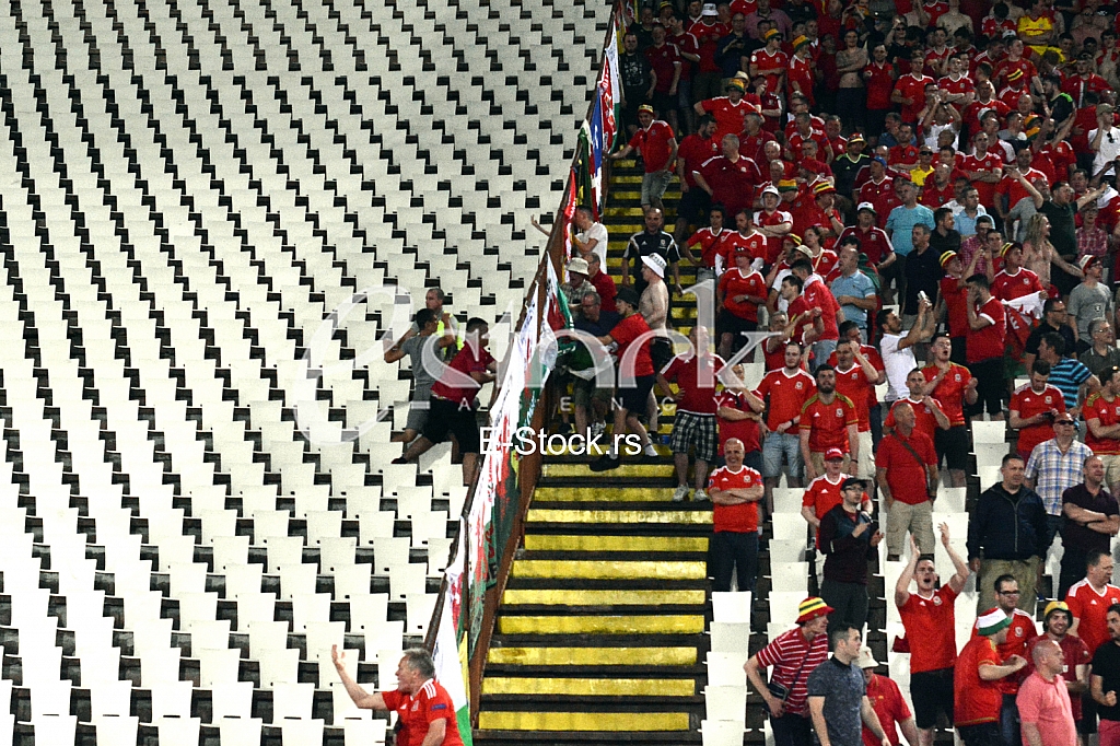  Serbia-Wales, football match.
