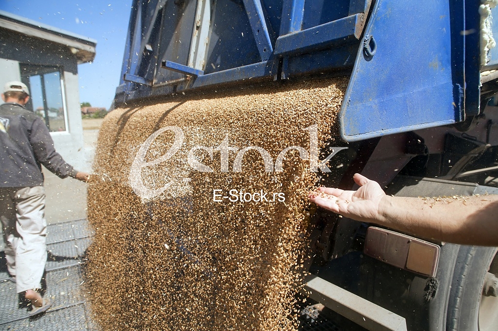Agriculture