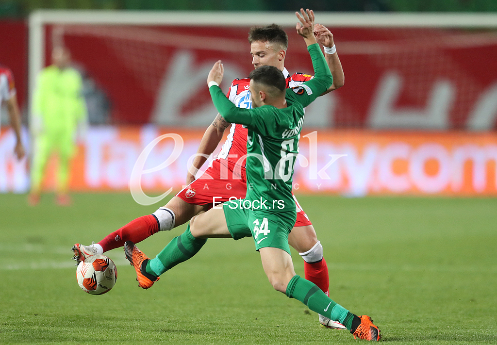Fudbal - Utakmica Zvezda - Ludogorec