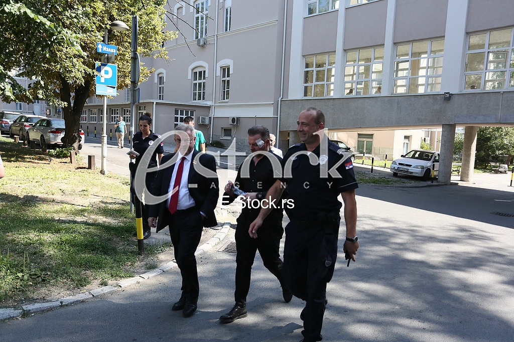 Dragomir Karic Simon de Karic