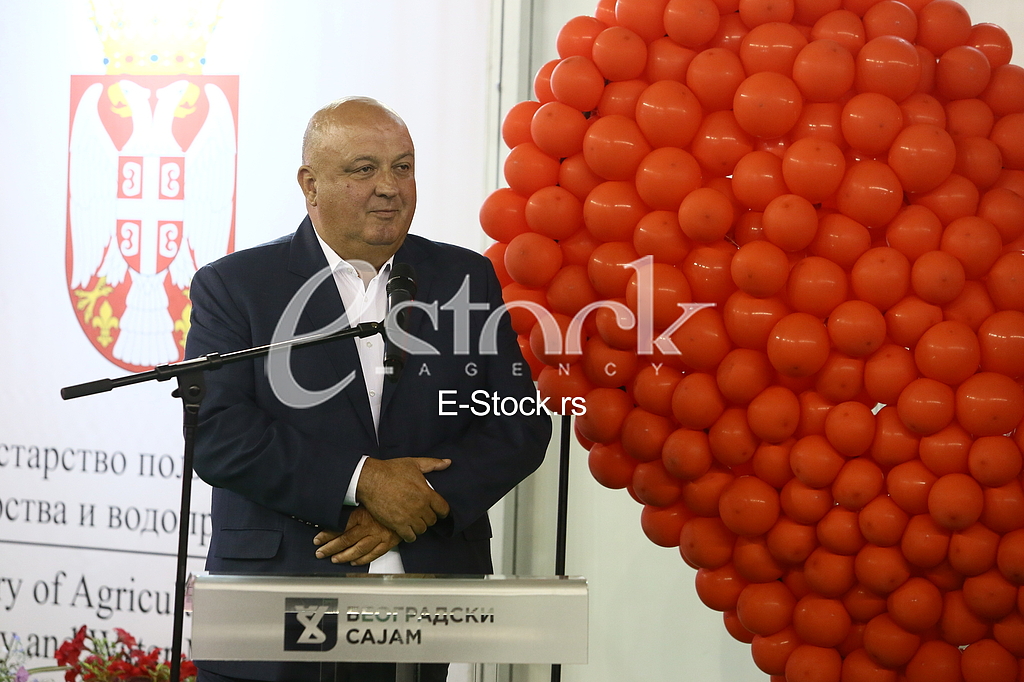 Velimir Stanojevic