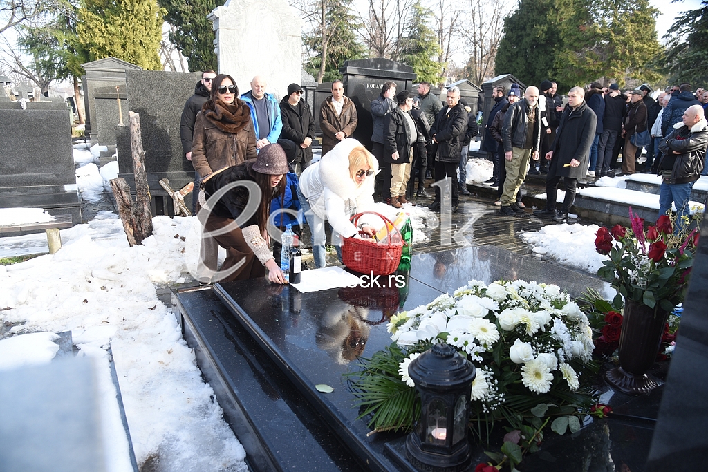Ceca Raznatovic Bogdana Lidija Ocokoljic
