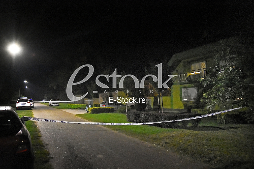 Mario Trtic godfather of Goca Trzan