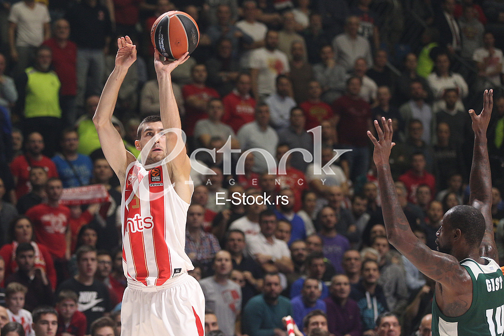 CRVENA ZVEZDA vs PANATHINAIKOS ATHENS
