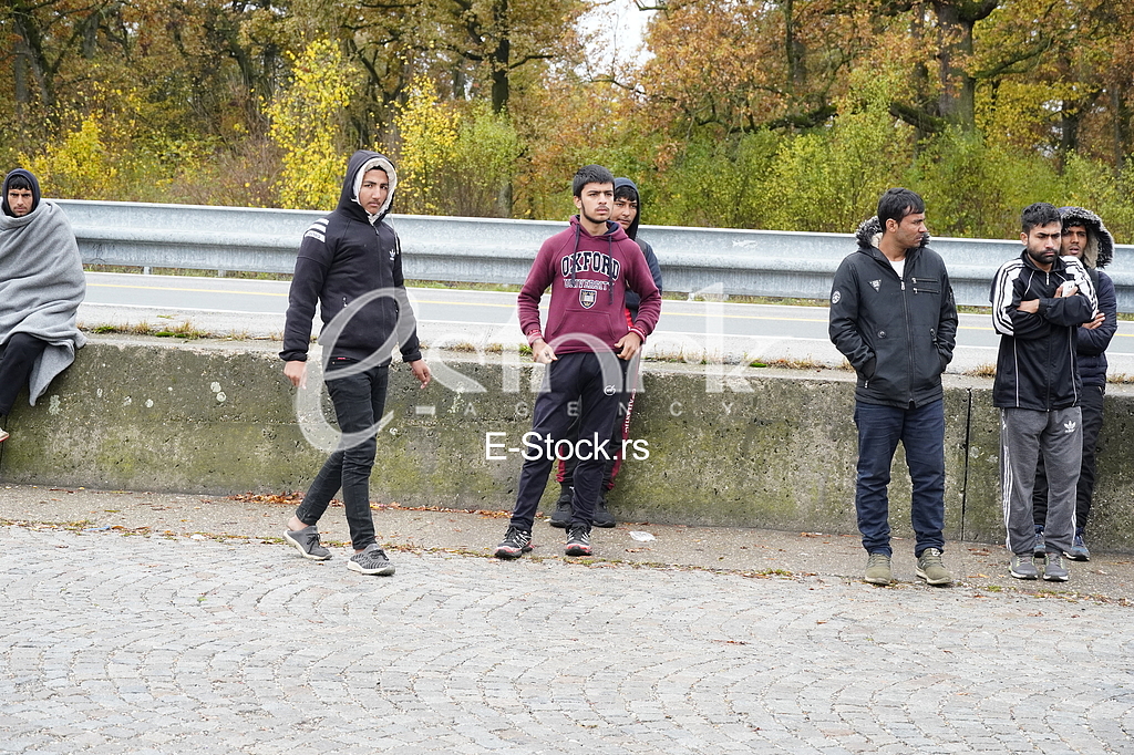Migranti