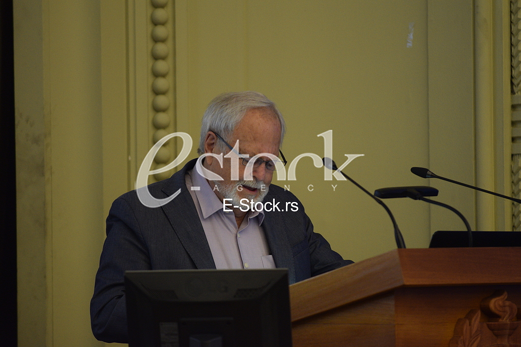 Akademik Milan Lojanica