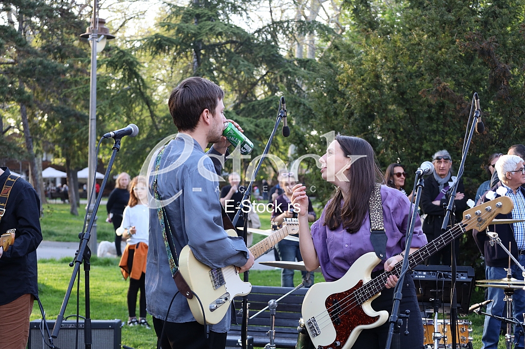 Grupa Koikoi Grupa Koikoi