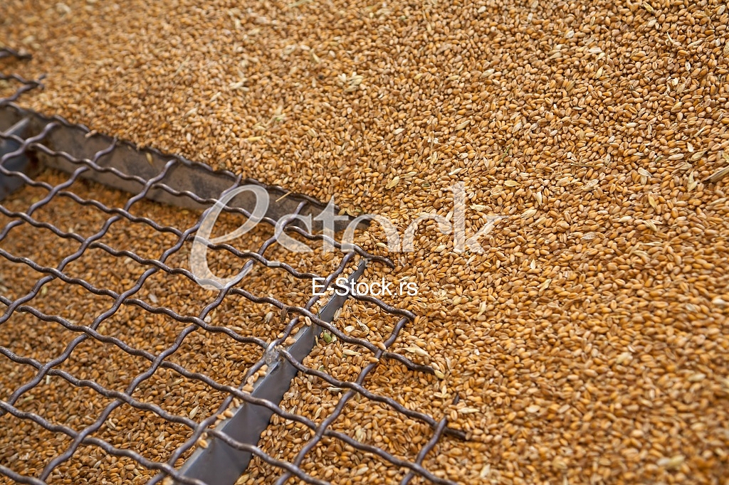 Agriculture