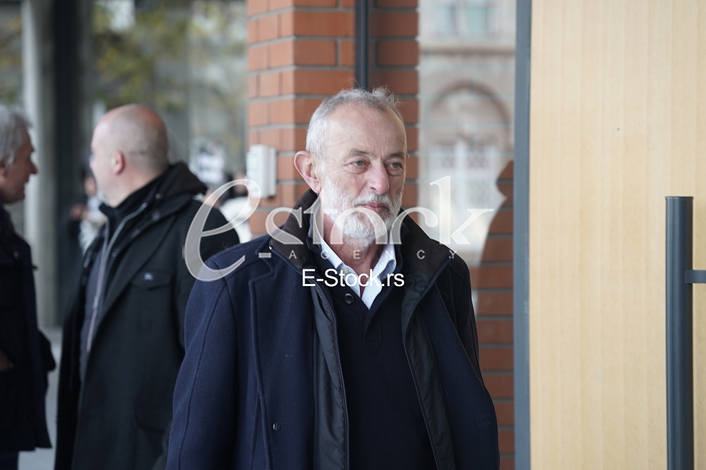 Miroslav Mika Aleksic