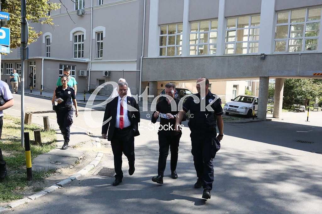 Dragomir Karic Simon de Karic