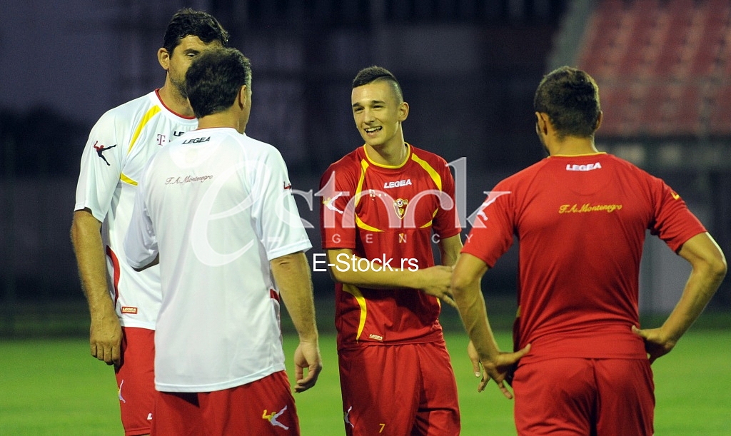 Stanisa Mandic