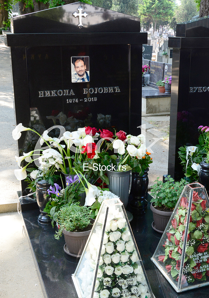 Novo groblje cemetery, grave of Nikola Bojovic