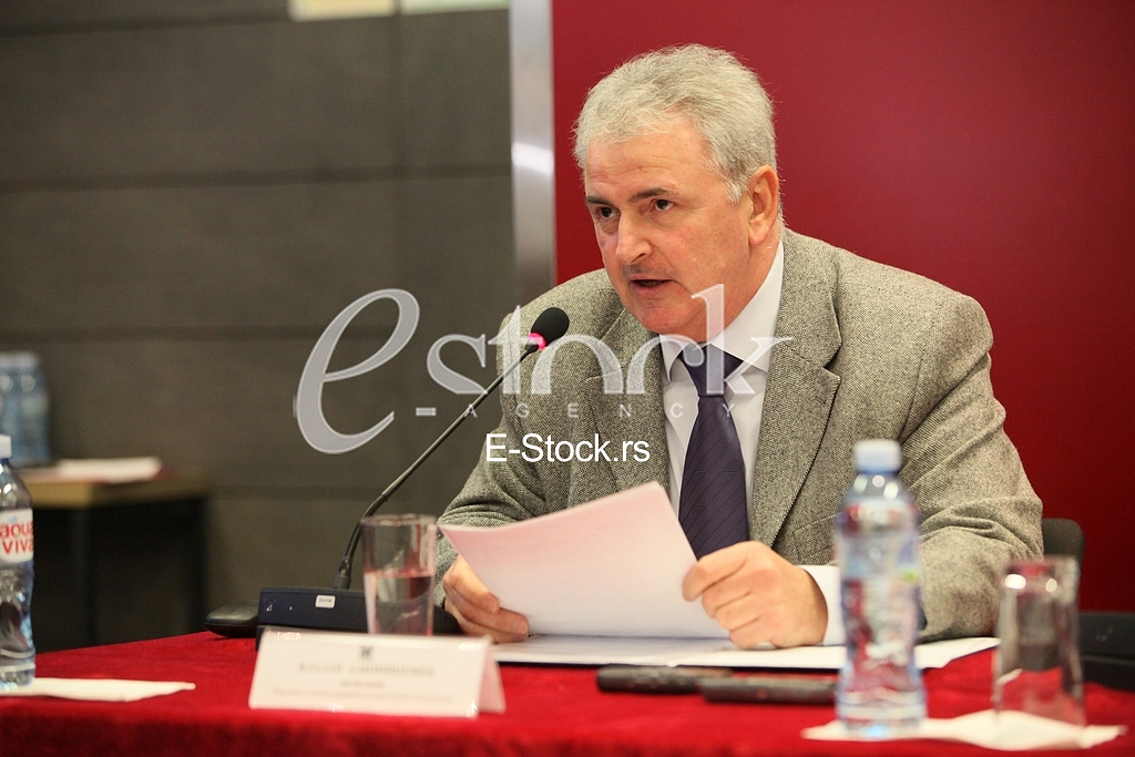 Press Conference,Municipality Vracar,Vladan Alimpijevic 