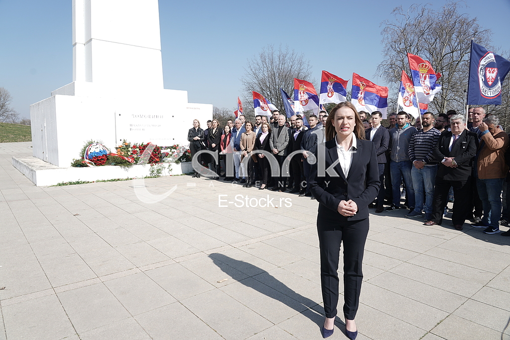 Milica Djurdjevic Zavetnici