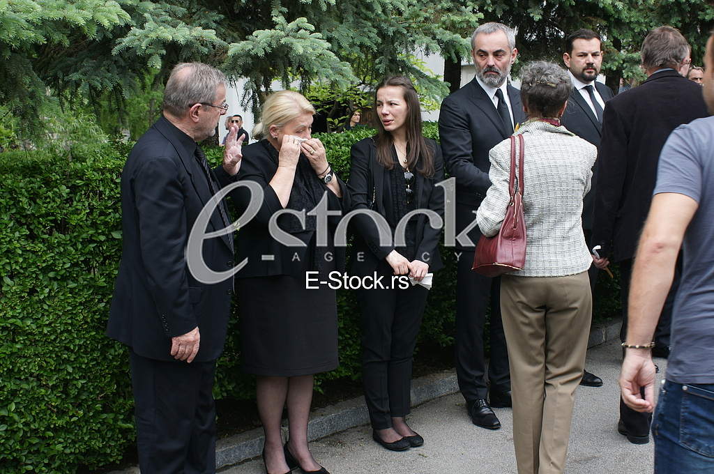 Dragomir Karic Hafa Karic Gordana Karic Goran Karic Nebojsa Karic