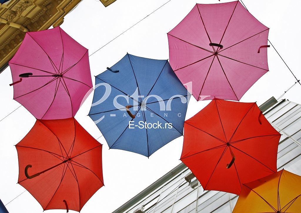 umbrellas in different colors 
