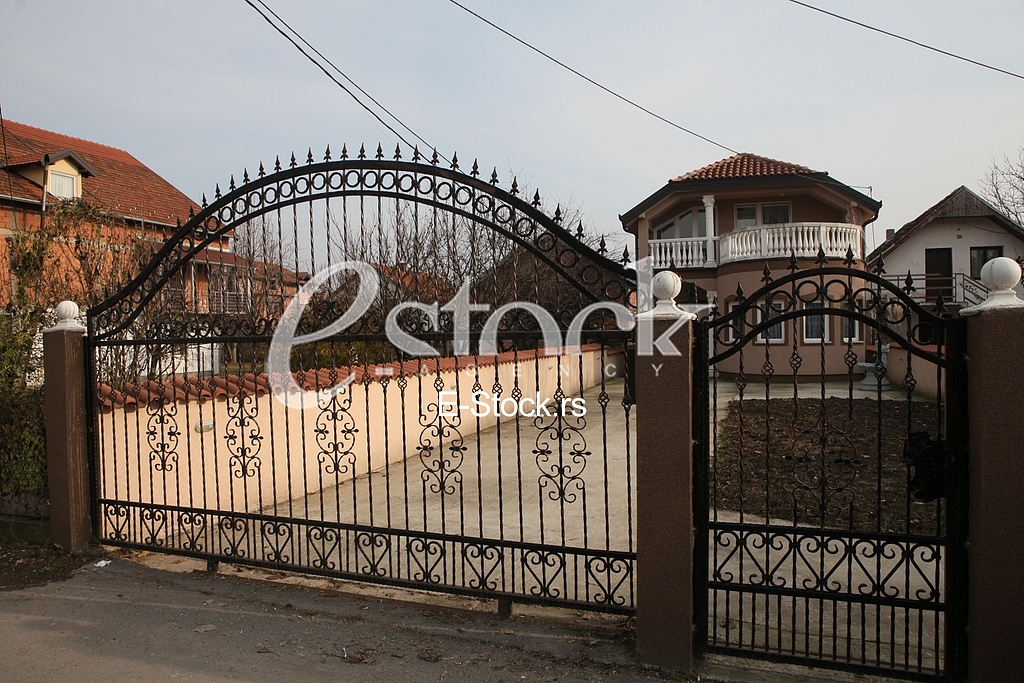 Zorica Kesmanovic,Borca