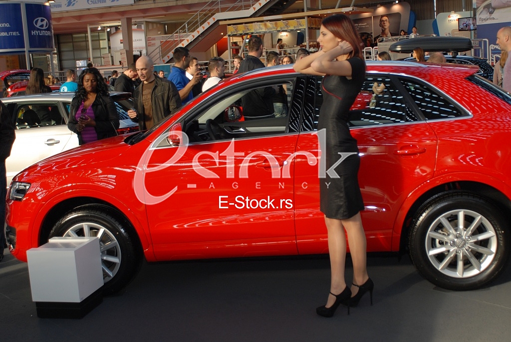 The Car Show