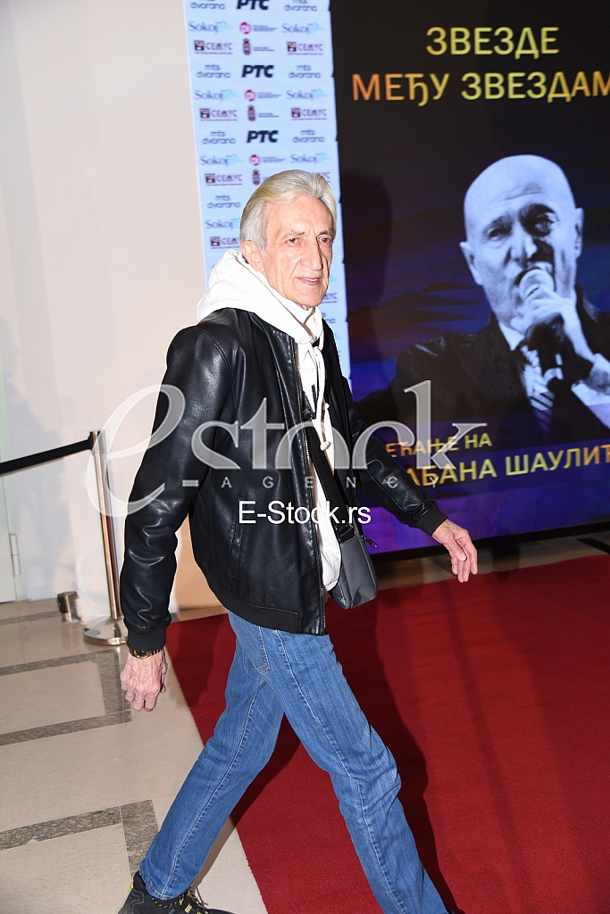 Mirko Kodic