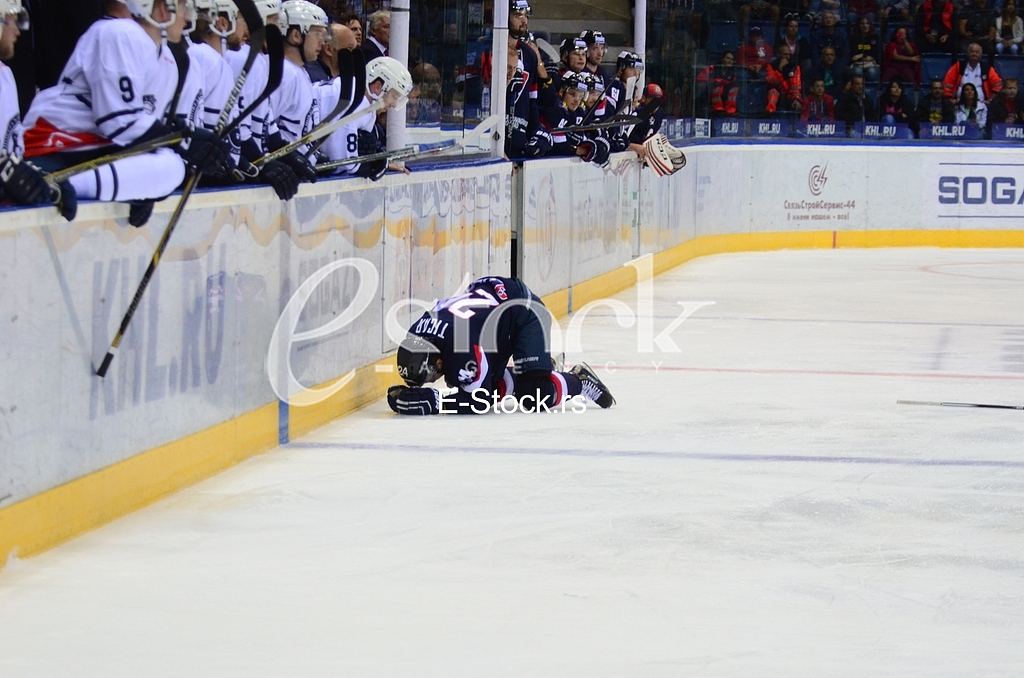 Slovan Bratislava vs. Medvescak Zagreb