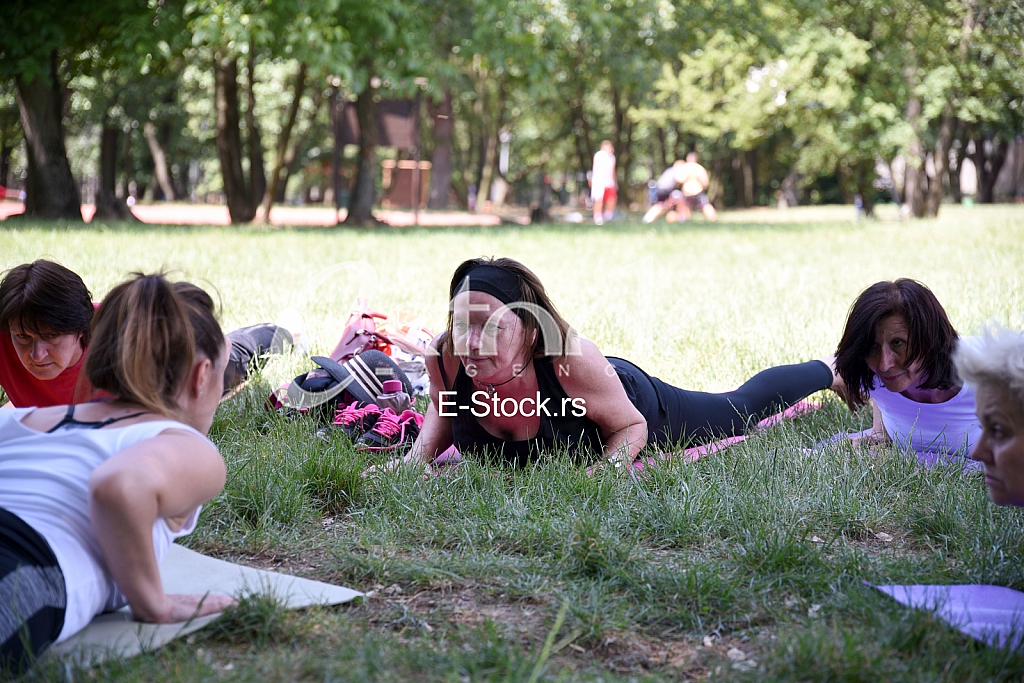 Misa Potsovoj, Stara Pazova