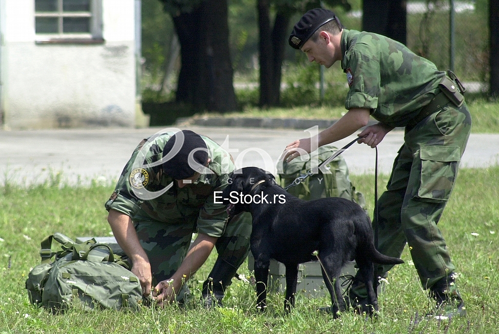 Army of Serbia