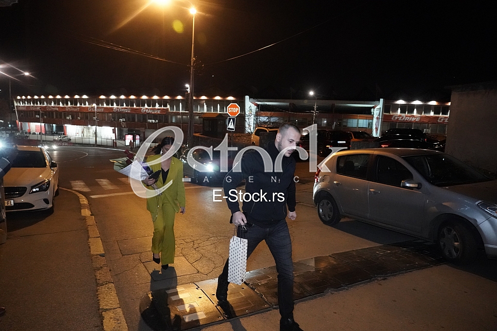 Slava Svetlane Cece Raznatovic