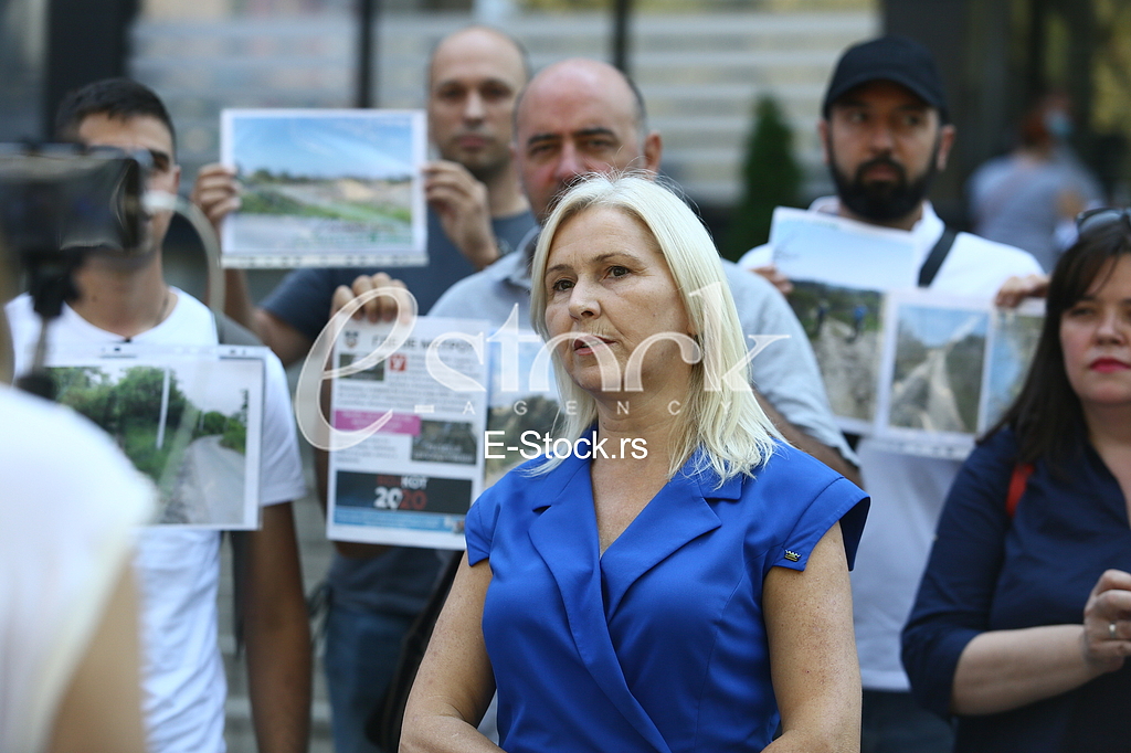 Radmila Vasic Dveri