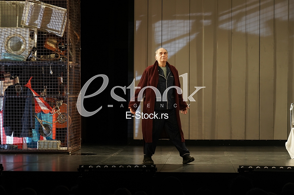 Vojislav Voja Brajovic