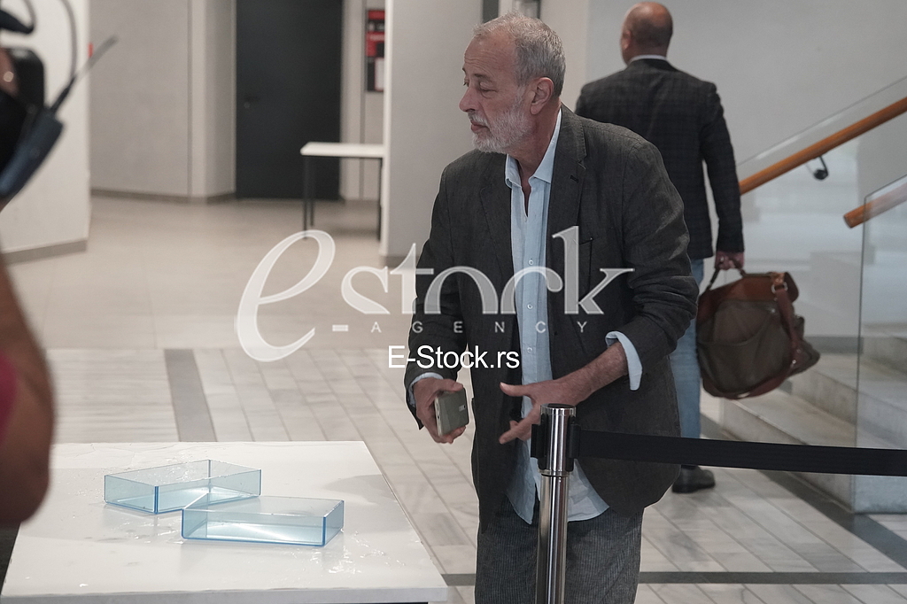 Miroslav Aleksic
