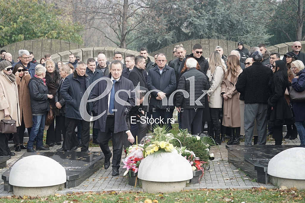 Ivica Dacic, Aleksandar Antic, Vladan Zagradjanin