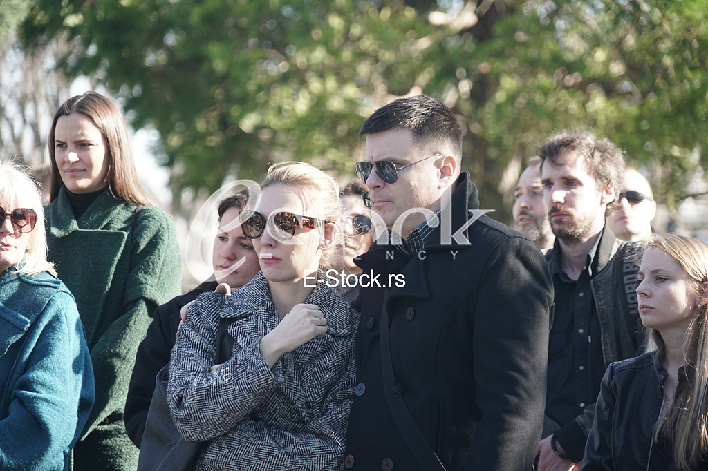 Kalina Kovacevic, Vuk Kostic