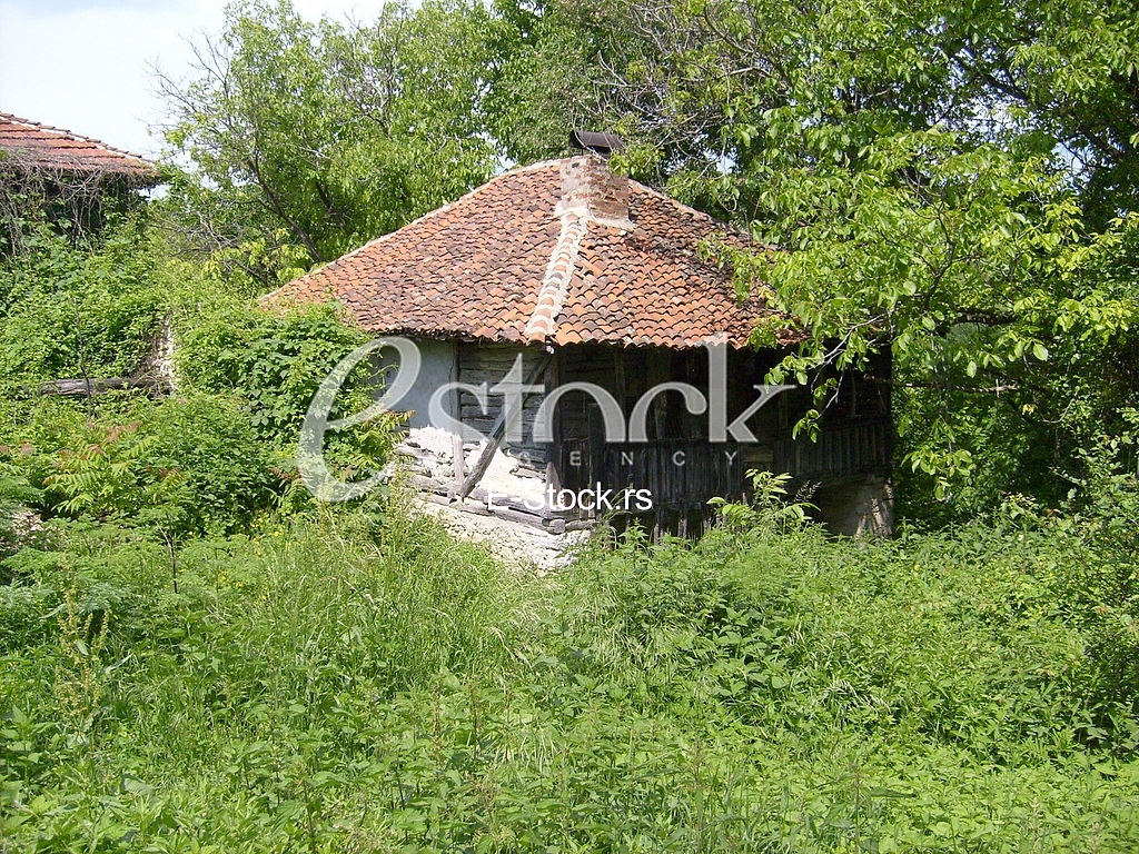 Village