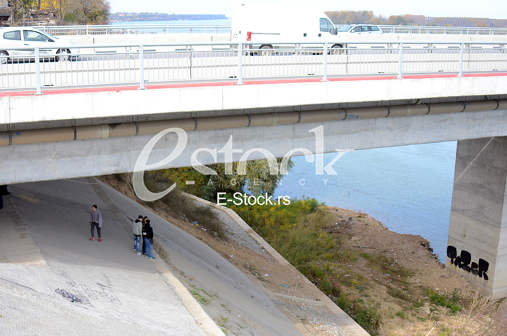 Bridge Mihailo Pupin