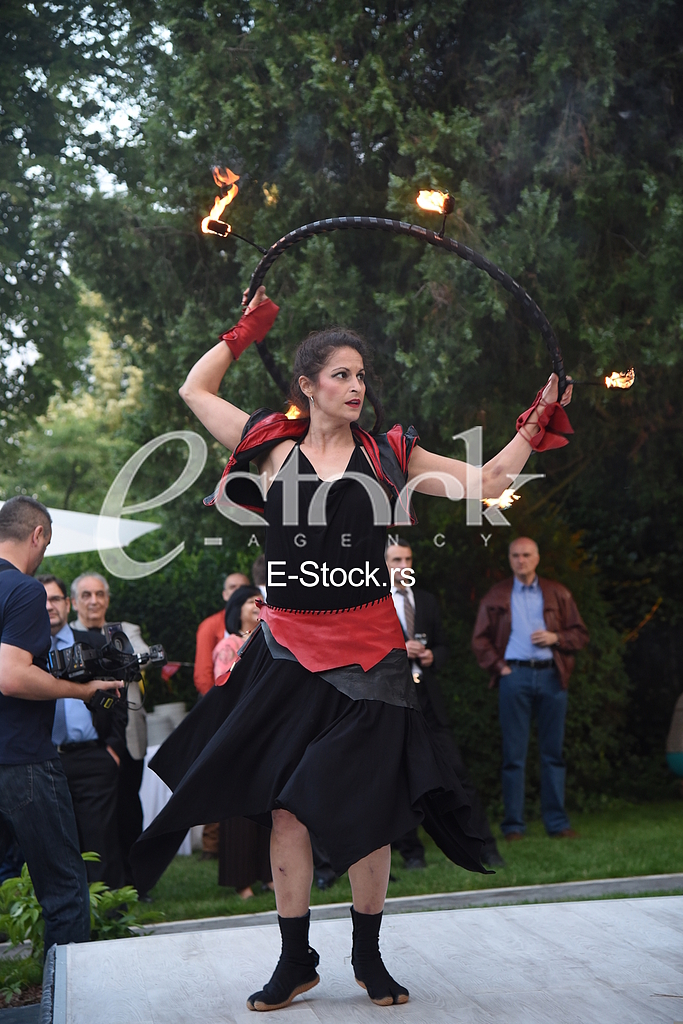 Summer party in the German embassy