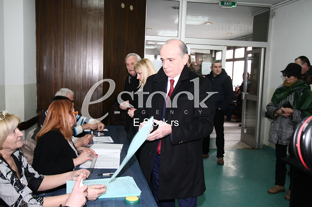 Milan Krkobabic Voting