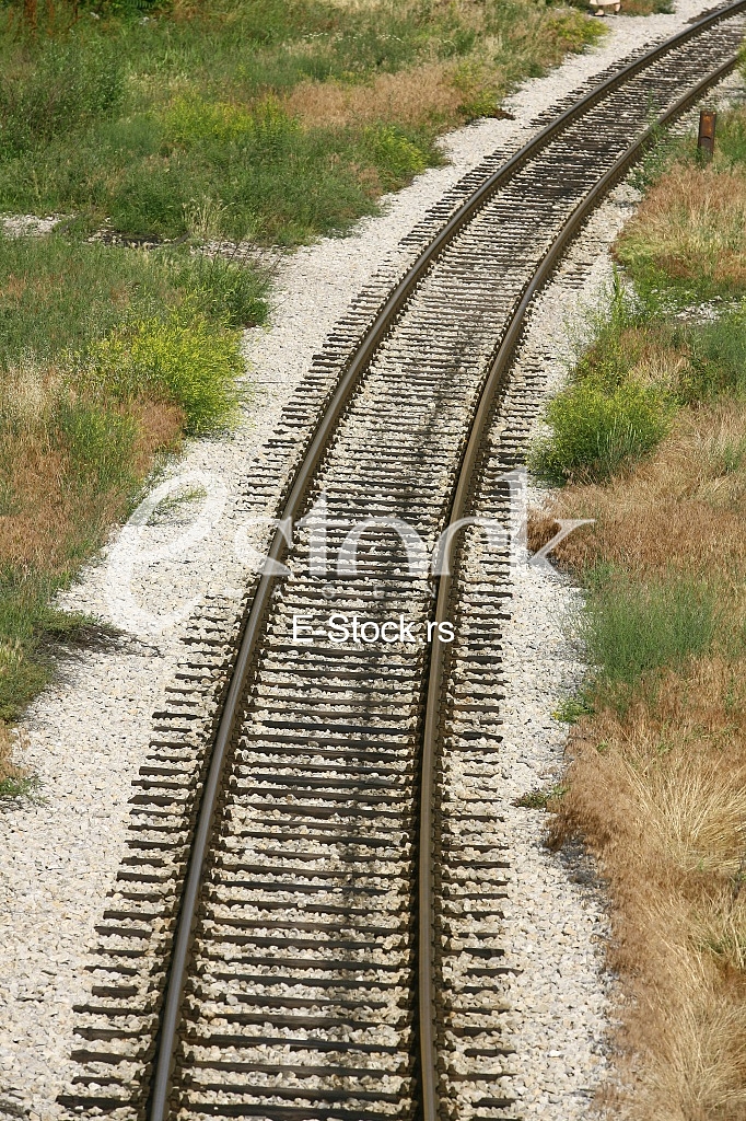 Cargo train platform railway tracks in a rural scene