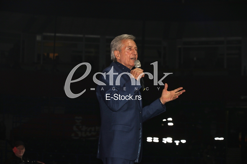 Miroslav Ilic