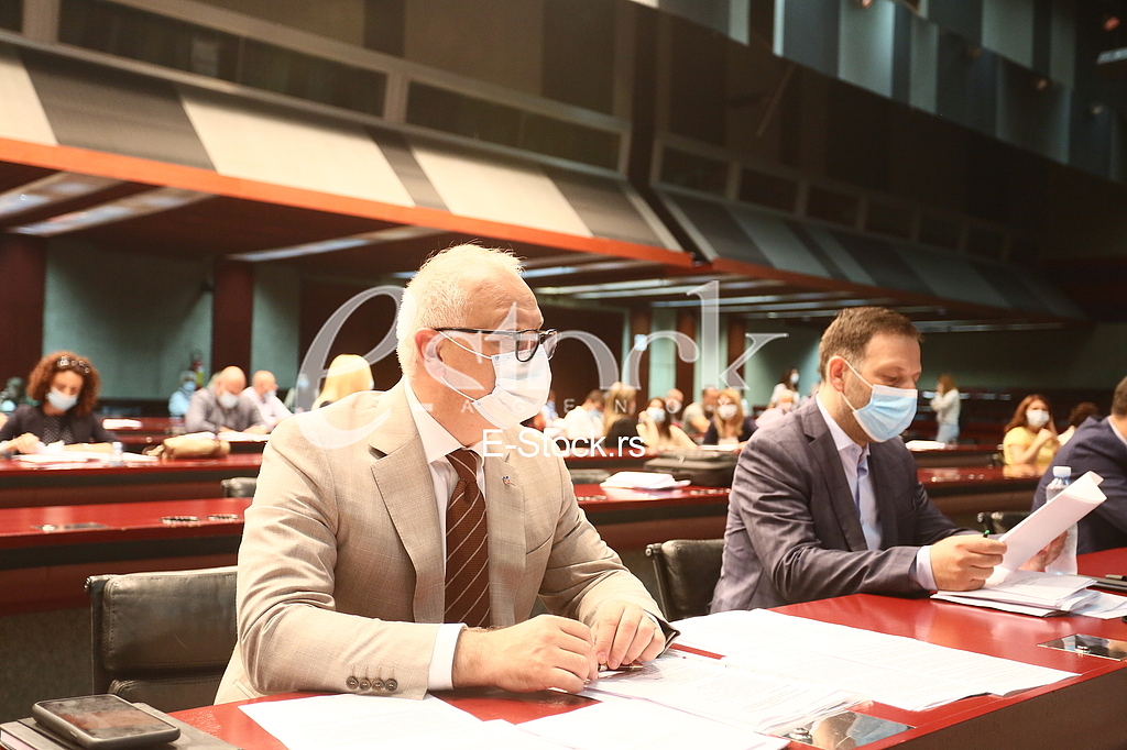 Goran Vesic i Marko Stojcic