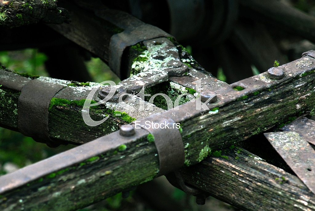 Wood