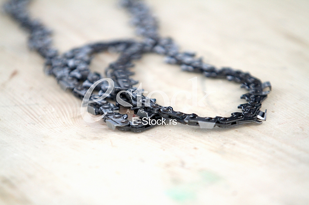 Horticulture Fair Horticulture Fair