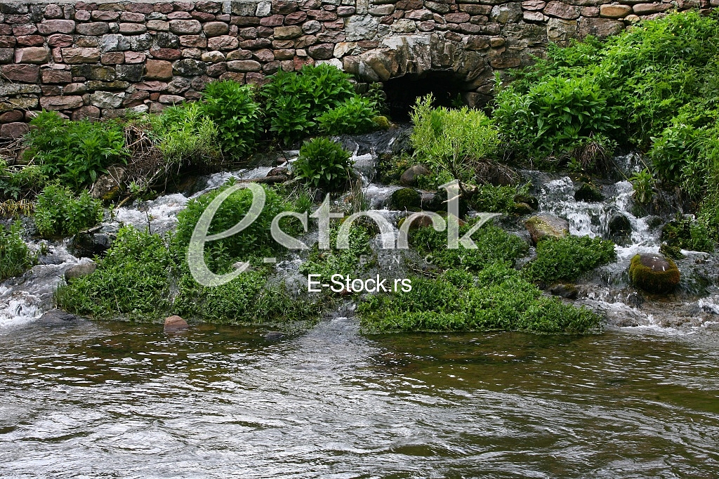 Mountain river flowing at summer forest landscape