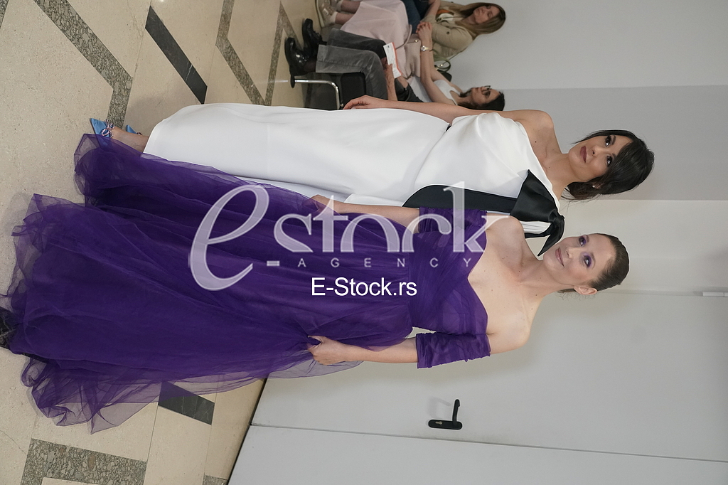 Dragana Micalovic i Milena Zivanovic