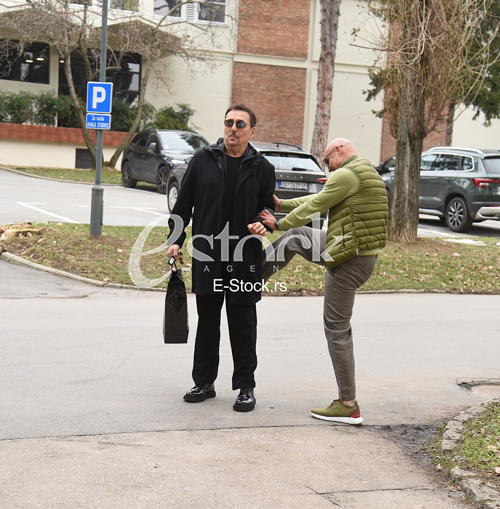 aleksandar milic mili  dragan kojic keba