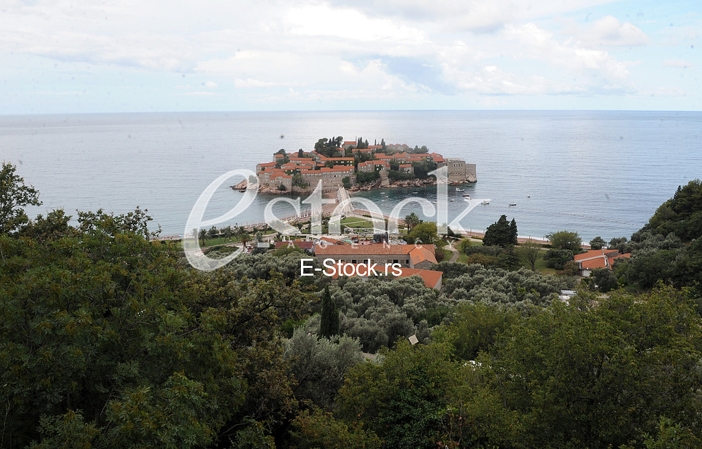 church wedding of Novak Djokovic
